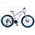 Cheap fat tire bike/fat bike frames for sale/mountain bikes with fat tires